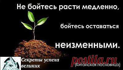 Китайская пословица