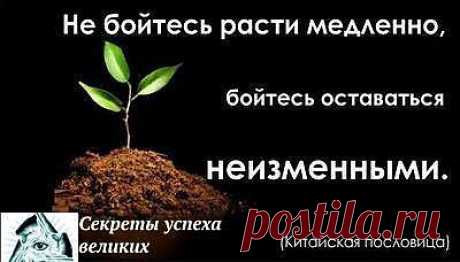 Китайская пословица