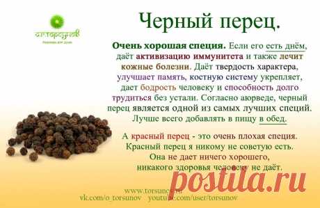 Черный перец