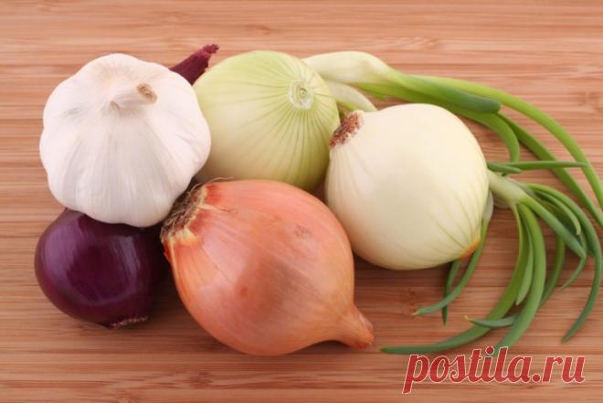 Народное средство для борьбы с внутренним ядом: повторяю курс 3 раза в год, никакая инфекция меня не берет. - Образованная Сова С каждым годом жизни организм человека не только изнашивается, но и накапливает массу вредных веществ — токсинов. И если их не выводить, то серьезных проблем со здоровьем не избежать. Поэтому детоксикация организма в наши дни стала популярной и даже модной. Сегодня мы расскажем, как вывести из организма токсины и шлаки безопасным способом. Ведь в этом …