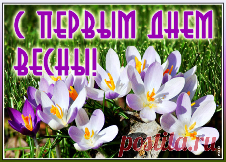 Картинка Поздравление с первым днём весны