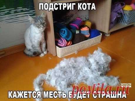 Одноклассники