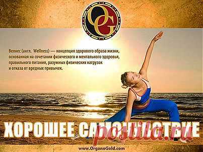 Велнес (англ. Wellness) — концепция здорового образа жизни, 
 основанная на сочетании физического и ментального здоровья, правильного питания, разумных физических нагрузок и отказа от вредных привычек.