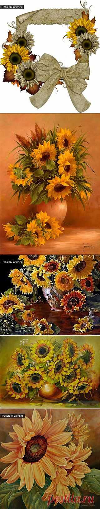 Цветы солнца / Картинки для декупажа / PassionForum - мастер-классы по рукоделию