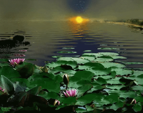 Моя мечта сменила цвет,
Наряд, мелодию, тональность.
А за окном закат-рассвет
Рисуют новую реальность...