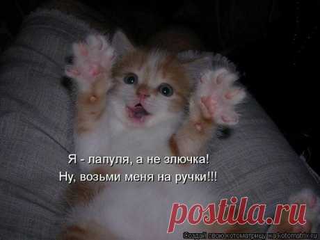 (1) О любви ... и не только