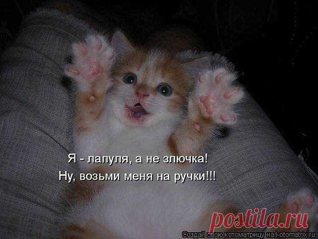 (1) О любви ... и не только