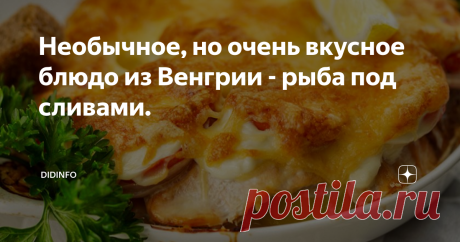 Необычное, но очень вкусное блюдо из Венгрии - рыба под сливами. Есть такой сорт слив - Угорка. Говорят, что сливы эти родом аккурат из Венгрии.  Ботаник и селекционер из меня тот ещё, но сорт этих слив знаю и люблю с детства. На украинском Венгия - Угорщина, так что, теоретически, всё логично.
Поэтому я ни разу не удивилась, когда в меню одного из ресторанов столицы Венгрии нам предложили рыбу, запеченную под сливами, и принесли нежнейшю рыбку именно с