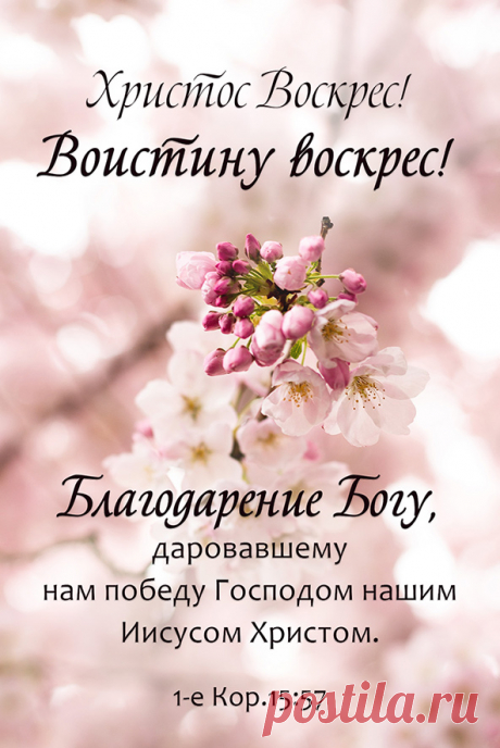Поздравительные открытки на Пасху 2021 - МНВ.РУ