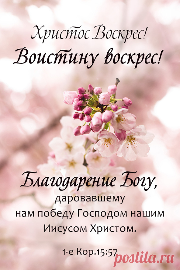 Поздравительные открытки на Пасху 2021 - МНВ.РУ