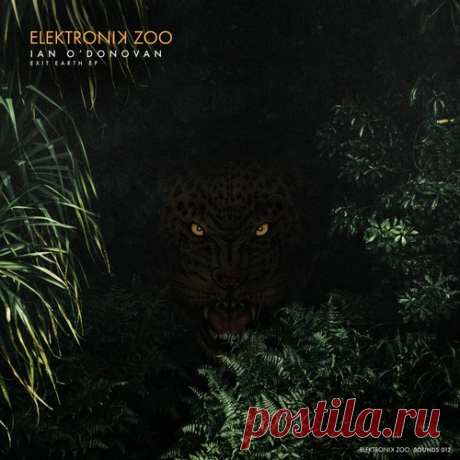 Download Ian O'Donovan - Exit Earth EP Label Elektronik Zoo Sounds Styles Progressive House, Electro (Classic / Detroit / Modern) Date 2025-03-07 Catalog # EZOO012 Length 22:03 Tracks 3