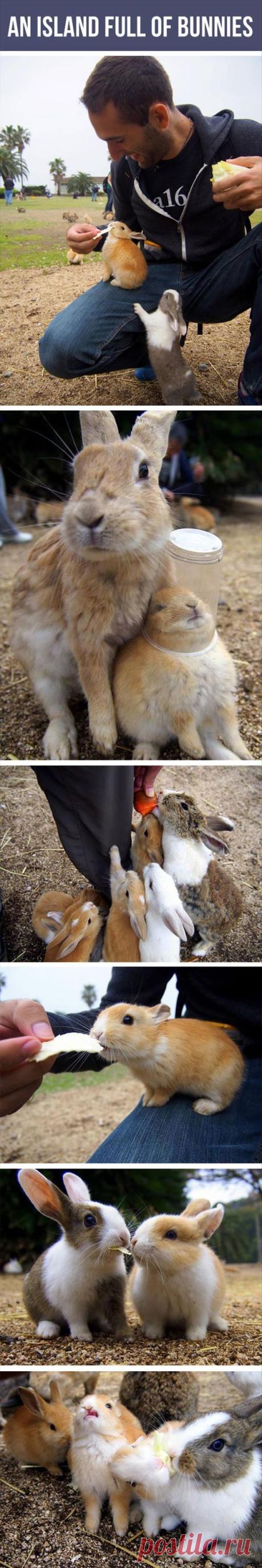 (24) Pinterest • Всемирный каталог идей