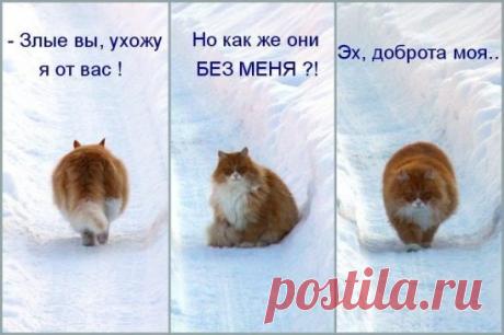 2 непрочитанных чата