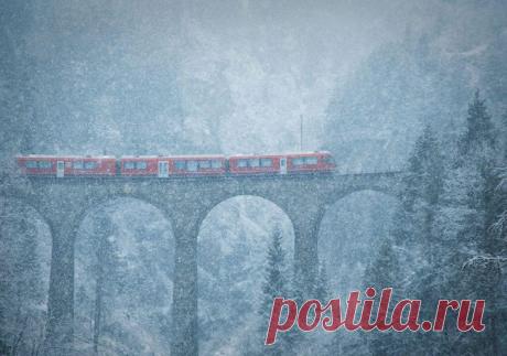 Gallery.ru / Фото #6 - Лучшие фотографии конкурса National Geographic - Vladikana