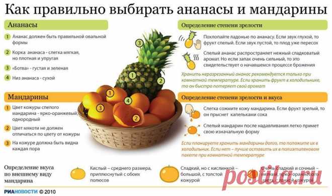 шпаргалка для кухни