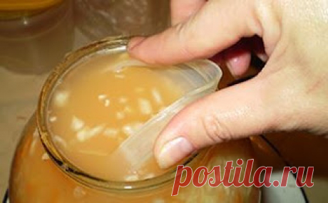 Квашеная капуста в банке - Харчовка