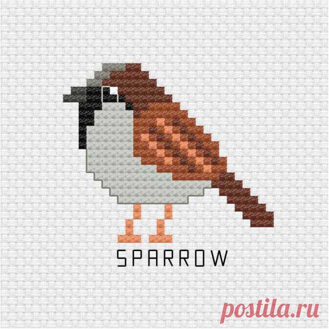 a cross stitch bird with the word sparrow on it's chest and head is shown