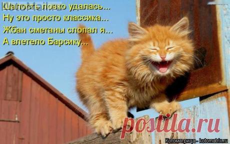 Шалость удалась.