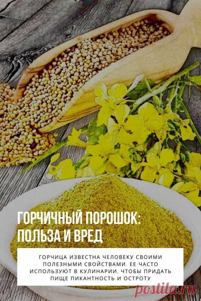 Горчичный порошок. Горчица известна человеку своими полезными свойствами. Ее часто используют в кулинарии, чтобы придать пище пикантность и остроту, в косметологии – как ингредиент для питательных масок, а в домашнем хозяйстве – для различных бытовых целей.