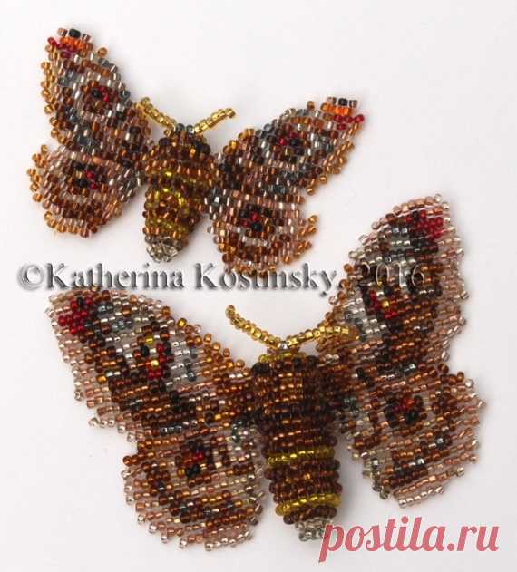 Павлиноглазка малая