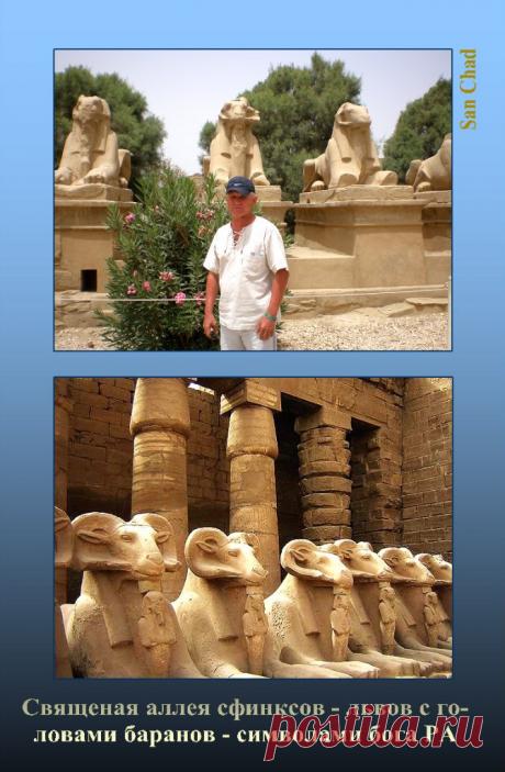 San Chad * ДОЛИНА ФАРАОНОВ
стр. 10

D-r sciense Chernykh Alexander D. (alias San Chad). The author of 14 books, 1 opening, 13 inventions and more than 100 publications. Talk of the World and International Congresses. Author THEORY CONSTANTS and the hypothesis of climate change on Earth. Discovered new things of science: mathematical philosophy, and genosofiyu geliosofiyu. In 1996, the author has released volumes of 4 GB disk. Stored at the World Library of Alexandria (Egypt).