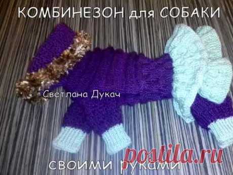 Crochet Вязаный спицами КОМБИНЕЗОН для СОБАКИ своими руками БЫСТРО ДЁШЕВО и СЕРДИТО