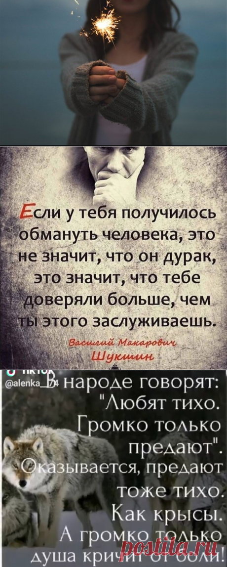 Уходит 2020 год. В моей семье радости не было, одни разочарования | Блоггерство на пенсии | Яндекс Дзен