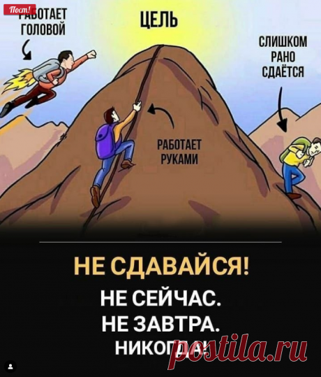 БИЗНЕС | ЦИТАТЫ | МОТИВАЦИЯ (@business_people_) • Фото и видео в Instagram