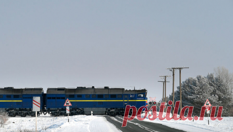 В Московской области отремонтируют ж/д переезды. В Подмосковье в 2024 году отремонтируют более 90 ж/д переездов, сообщает пресс-служба Минтранса Московской области. По словам министра транспорта региона Алексея Гержика, всего в 2024 году на 91 железнодорожном переезде заменят ...