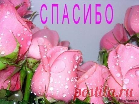 ПОСЛАНИЕ САЛУСА с СИРИУСА от 16 мая 2014 года. | СОТВОРЧЕСТВО В СВЕТЕ | Группы Мой Мир