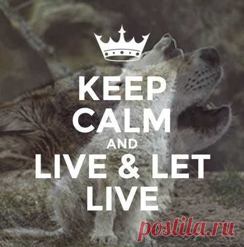 worldwyde1- 1 thousand results found on YandexImages - obraz #5199899 od worldwyde1 na Favim.pl