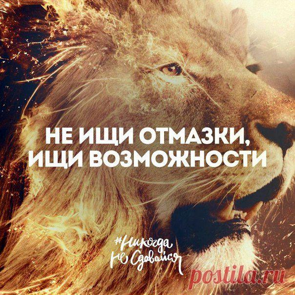 iBusiness: бизнес-идеи, мотивация, цитаты