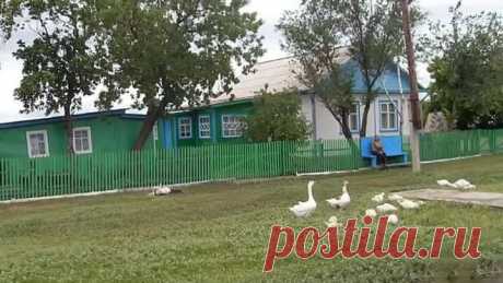 Здравствуй, милая Родина...