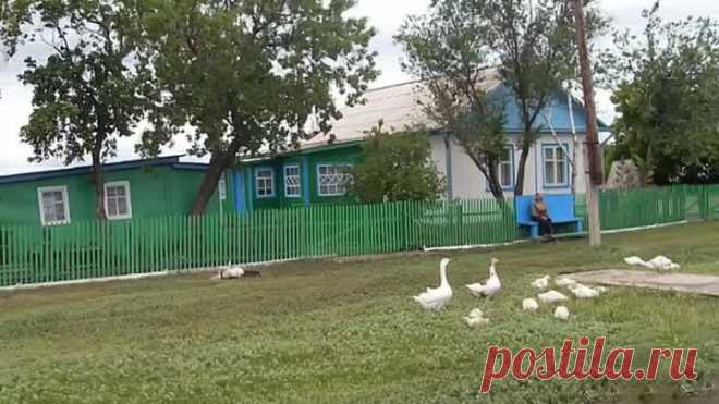Здравствуй, милая Родина...