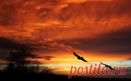 Закаты удивительной красоты из разных точек земного шара — Фотоискусство