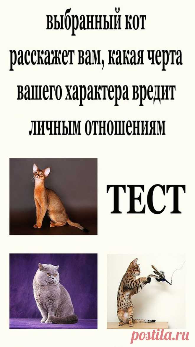 Предлагаем пройти визуальный тест, который поможет вам понять, какая черта вашего характера может негативно повлиять на ваши отношения с любимым человеком.