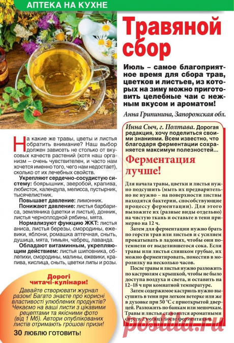 Травяной сбор. Ферментация трав