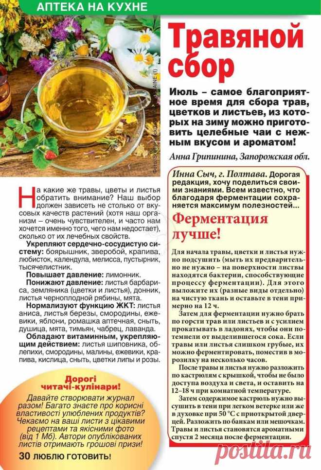 Травяной сбор. Ферментация трав