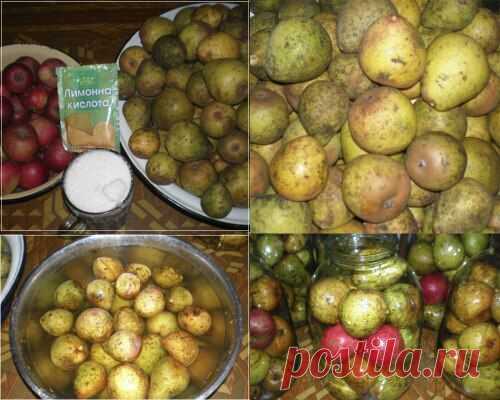 Консервированные груши целиком, как в детстве. Очень простой рецепт.