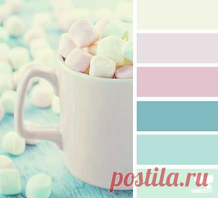 Design Seeds® | find your palette