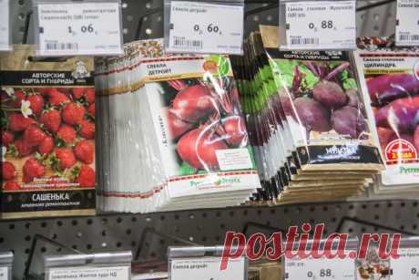 Как правильно хранить семена: опытные дачники раскрыли лучшие варианты. Не все знают о том, как правильно хранить семена.