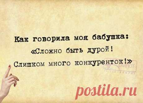 25 веселых мыслей в картинках для хорошего настроения на весь день