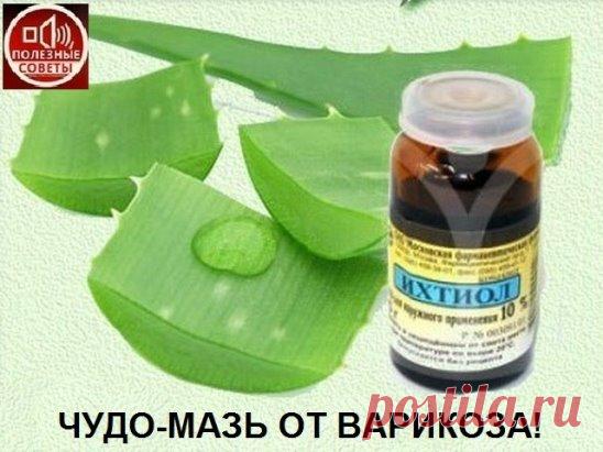 Волшебная мазь. От варикозного расширения вен 
Народный рецепт. 
Иногда самые простые рецепты из доступных и дешевых компонентов оказывают лечебное воздействие на уровне дорогостоящих брендовых фармпрепаратов. Конечно, ни один народный рецепт не отменяет ни похода к врачу, ни его рекомендаций. Случаи бывают всякие и иногда промедление просто опасно для жизни. Но если все не так страшно, почему не попробовать использовать рецепты наших бабушек. У них то и аптек не было в селах, а тем не менее жил