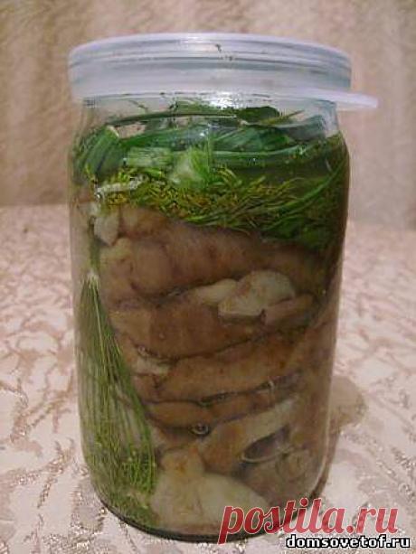 Как солить грибы. Рецепты горячего и холодного засола грибов.