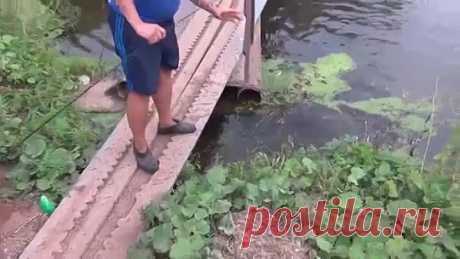 (63) Одноклассники