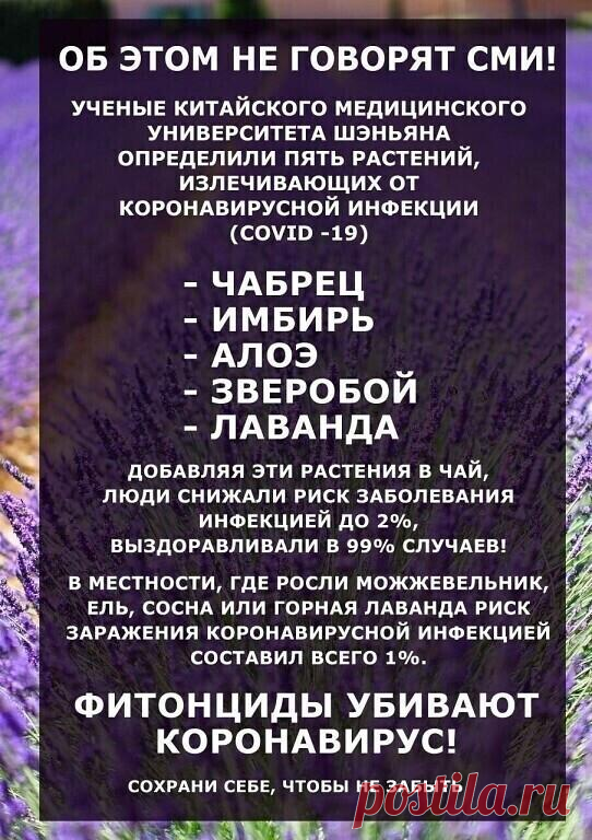 полезные  чаи