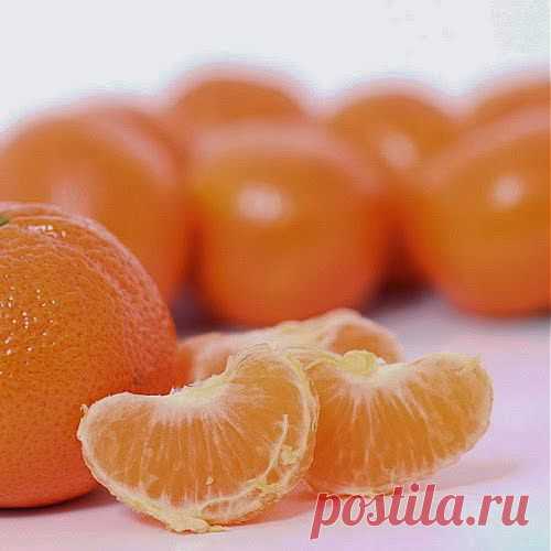 Паразиты атаковали | Друг пенсионера
Я много читала о том, какие страш­ные последствия может вызывать присутствие глистов в организме. Некоторые считают, что рак тоже по­является именно из-за этих парази­тов, отравляющих организм отхода­ми своей жизнедеятельности.