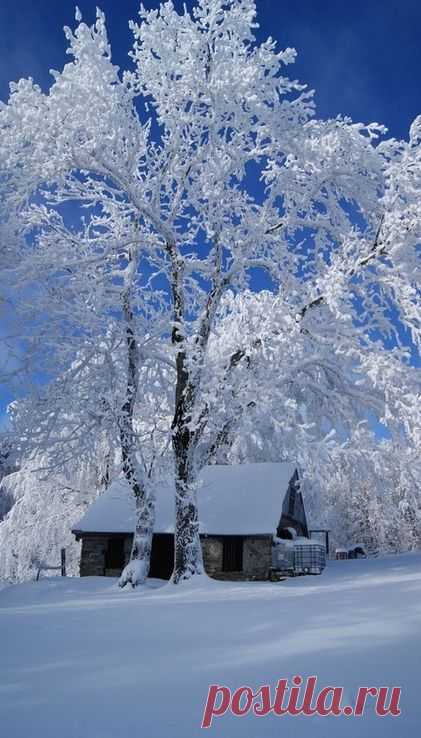 «Польский Туристический КЛУБ "ПОЛОНИЯ"
 Наш Адрес: Москва, Арбат 12
 Наши телефоны:
8-925-505-21-06,
т.факс 8-495-691-283-29