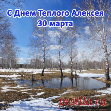 С Теплым Алексеем вас
Я сердечно поздравляю,
Радостных деньков прекрасных
От души вам пожелаю. Открытки на Алексей Теплый!