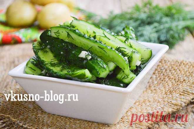 Рецепт малосольных огурцов быстрого приготовления в пакете